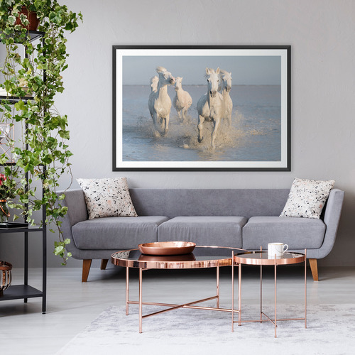 Horses Printed Wall Art