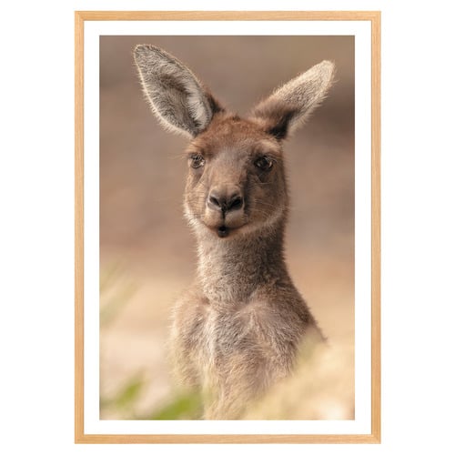 The Beautiful Roo Printed Wall Art