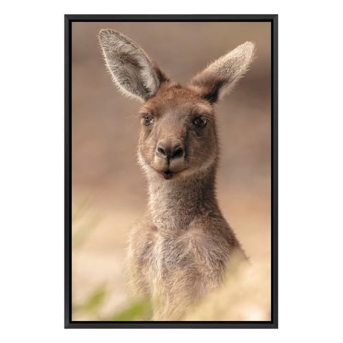 The Beautiful Roo Printed Wall Art