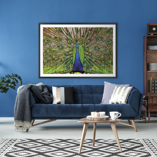 Peacock Printed Wall Art