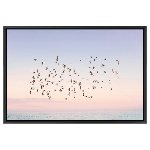 Sunset Flight Printed Wall Art
