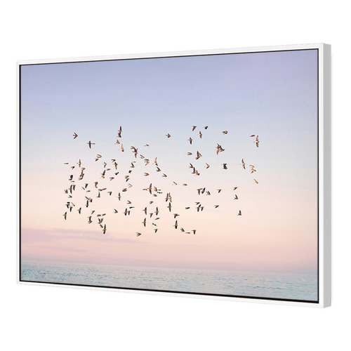 Sunset Flight Printed Wall Art