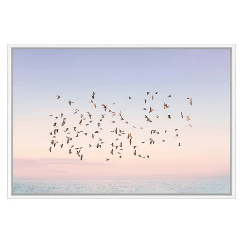 Sunset Flight Printed Wall Art