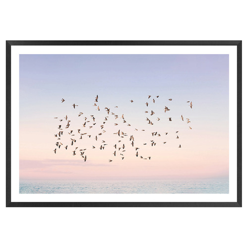 Sunset Flight Printed Wall Art