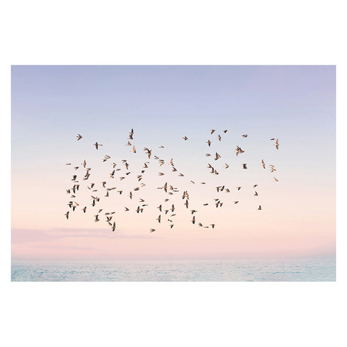 Sunset Flight Printed Wall Art