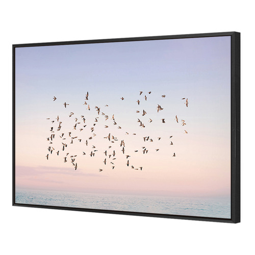 Sunset Flight Printed Wall Art