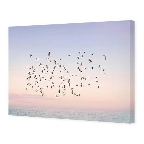 Sunset Flight Printed Wall Art