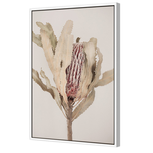 Banksia Printed Wall Art