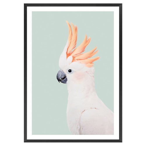 Cockatoo Printed Wall Art