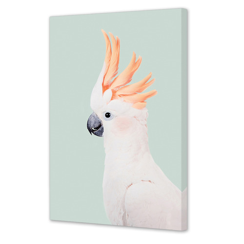 Cockatoo Printed Wall Art