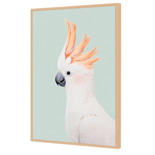 Cockatoo Printed Wall Art