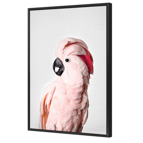 Pink Cockatoo Printed Wall Art
