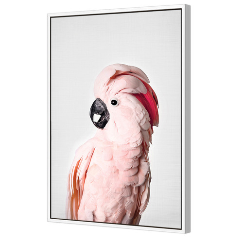 Pink Cockatoo Printed Wall Art