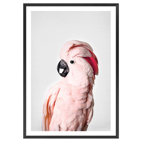 Pink Cockatoo Printed Wall Art