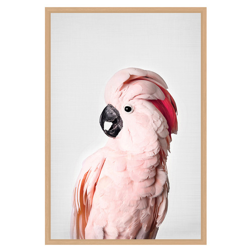 Pink Cockatoo Printed Wall Art
