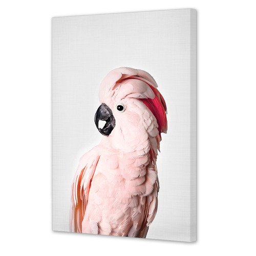 Pink Cockatoo Printed Wall Art