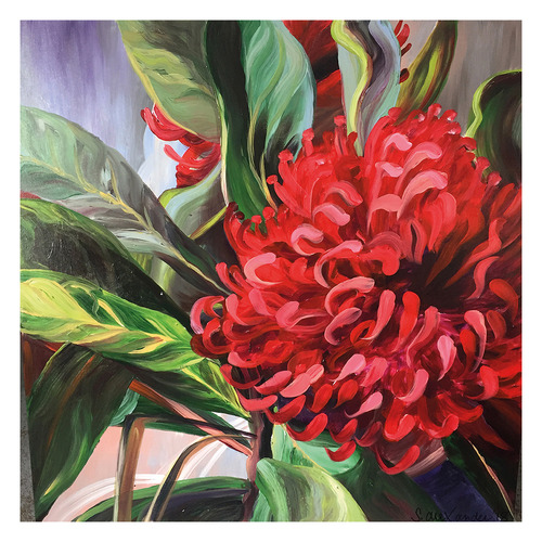 Art Prints Unique Waratah Printed Wall Art | Temple & Webster