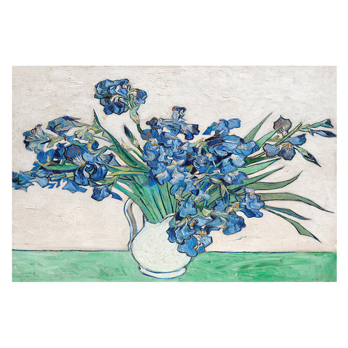 Irises by Vincent Van Gogh Canvas Wall Art