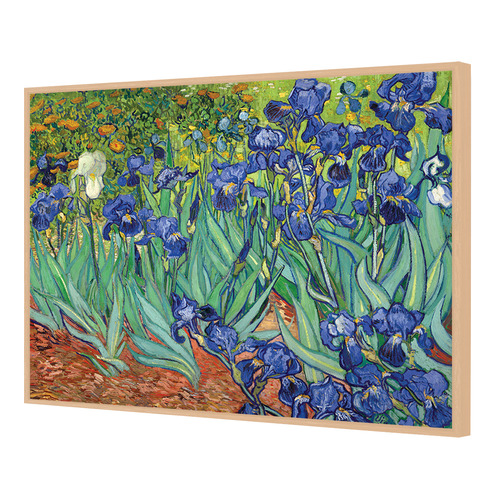 Van Gogh Irises Canvas Wall Art