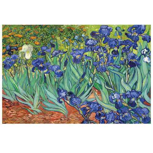 Van Gogh Irises Canvas Wall Art