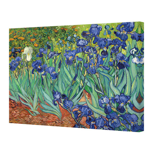 Van Gogh Irises Canvas Wall Art