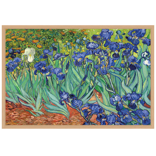 Van Gogh Irises Canvas Wall Art