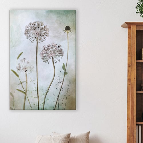 Allium Canvas Wall Art