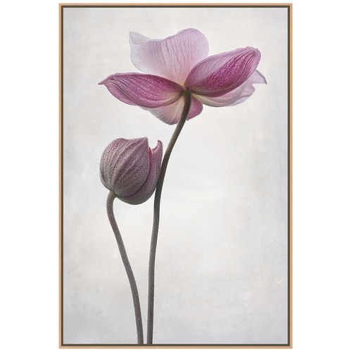 A Little Touch Canvas Wall Art