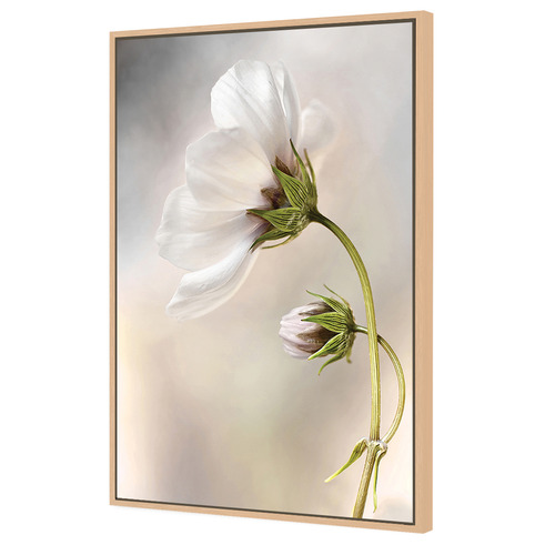 Heavenly Cosmos Canvas Wall Art