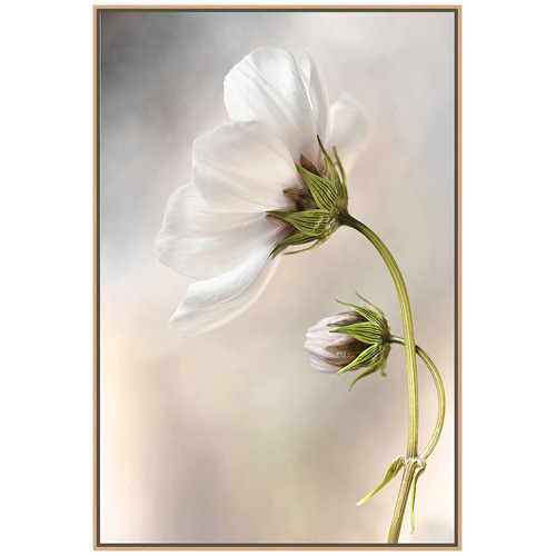 Heavenly Cosmos Canvas Wall Art