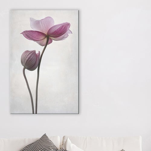 A Little Touch Canvas Wall Art