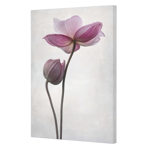 A Little Touch Canvas Wall Art