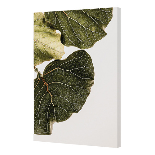 2 Piece Leaf Vein Canvas Wall Art Set
