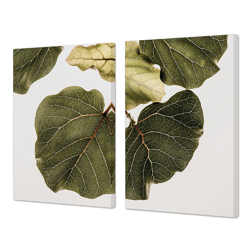 2 Piece Leaf Vein Canvas Wall Art Set