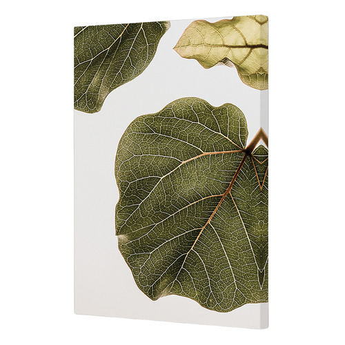 2 Piece Leaf Vein Canvas Wall Art Set