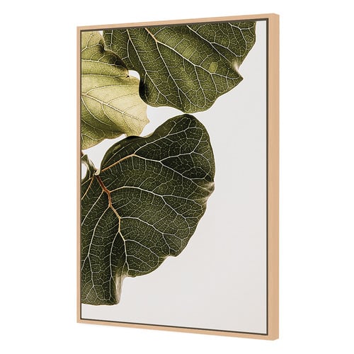 2 Piece Leaf Vein Canvas Wall Art Set