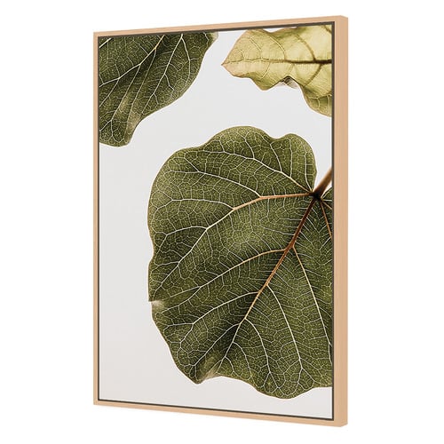 2 Piece Leaf Vein Canvas Wall Art Set