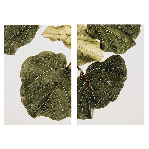 2-Piece-Leaf-Vein-Canvas-Wall-Art-Set