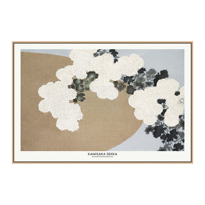 Blossom from Momoyogusa Canvas Wall Art