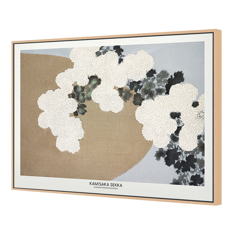 Blossom from Momoyogusa Canvas Wall Art