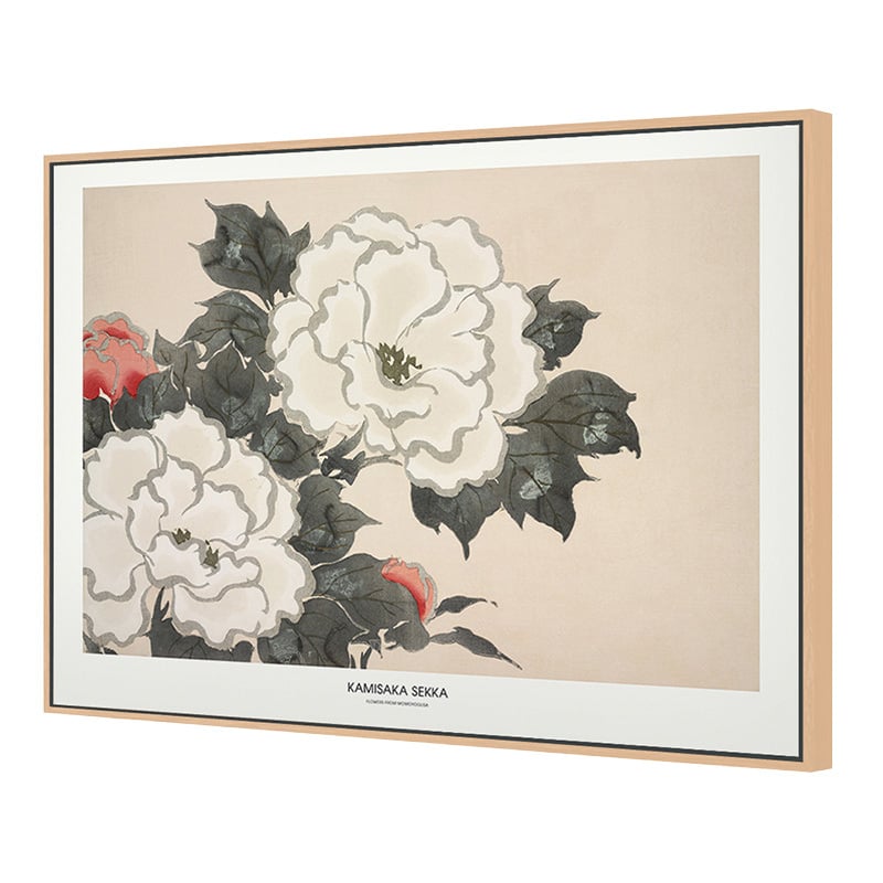 Flowers from Momoyogusa Canvas Wall Art