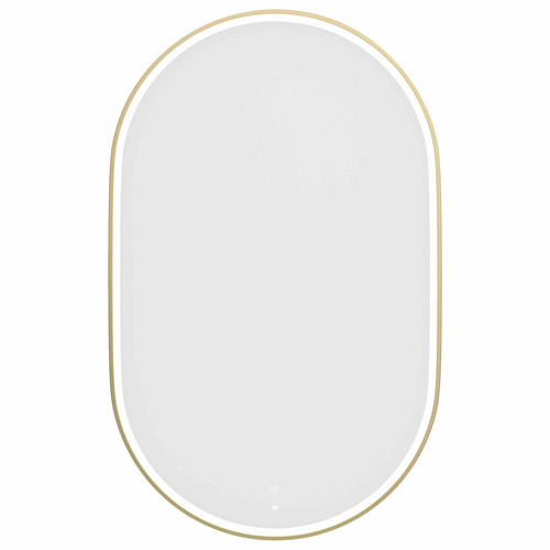 Noosa 900 x 600mm Oval Metal LED Bathroom Mirror