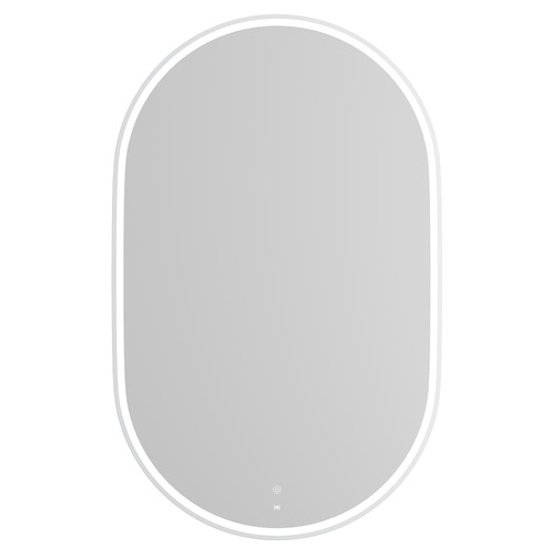 Noosa 900 x 600mm Oval Metal LED Bathroom Mirror