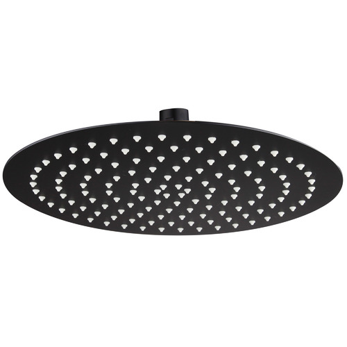 Robbie Stainless Steel Shower Head