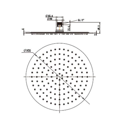 Robbie Stainless Steel Shower Head
