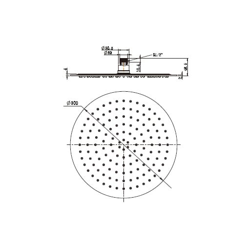 30cm Stainless Steel Livon Shower Head
