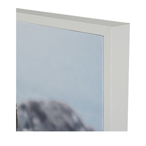 Savannah Plains Framed Canvas Wall Art