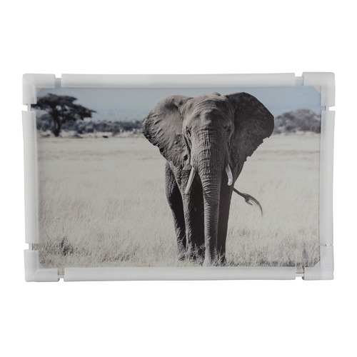 Savannah Plains Framed Canvas Wall Art