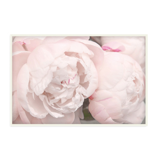 Indigo Studio Pink Floral Framed Canvas Wall Art | Temple & Webster