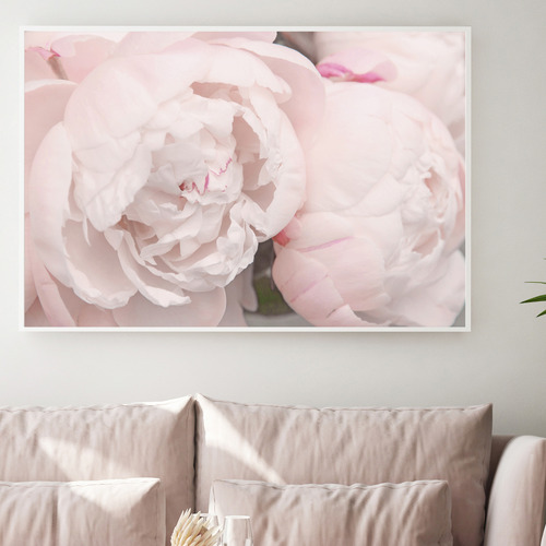 Indigo Studio Pink Floral Framed Canvas Wall Art | Temple & Webster